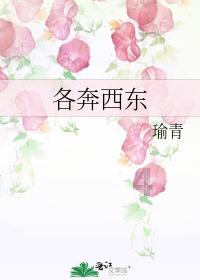 什么是转子发动机？